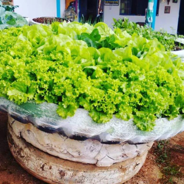 Pousada Shangrila Sao Thome São Tomé das Letras Εξωτερικό φωτογραφία
